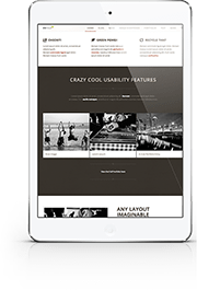 slide1 Mini iPad White